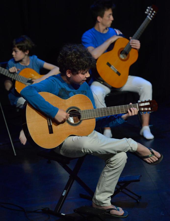Guitaristes en spectacle